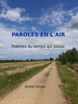 cover image of Paroles en l'air